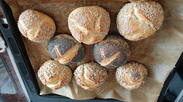 Die weltbesten Brötchen – nach dem Backen